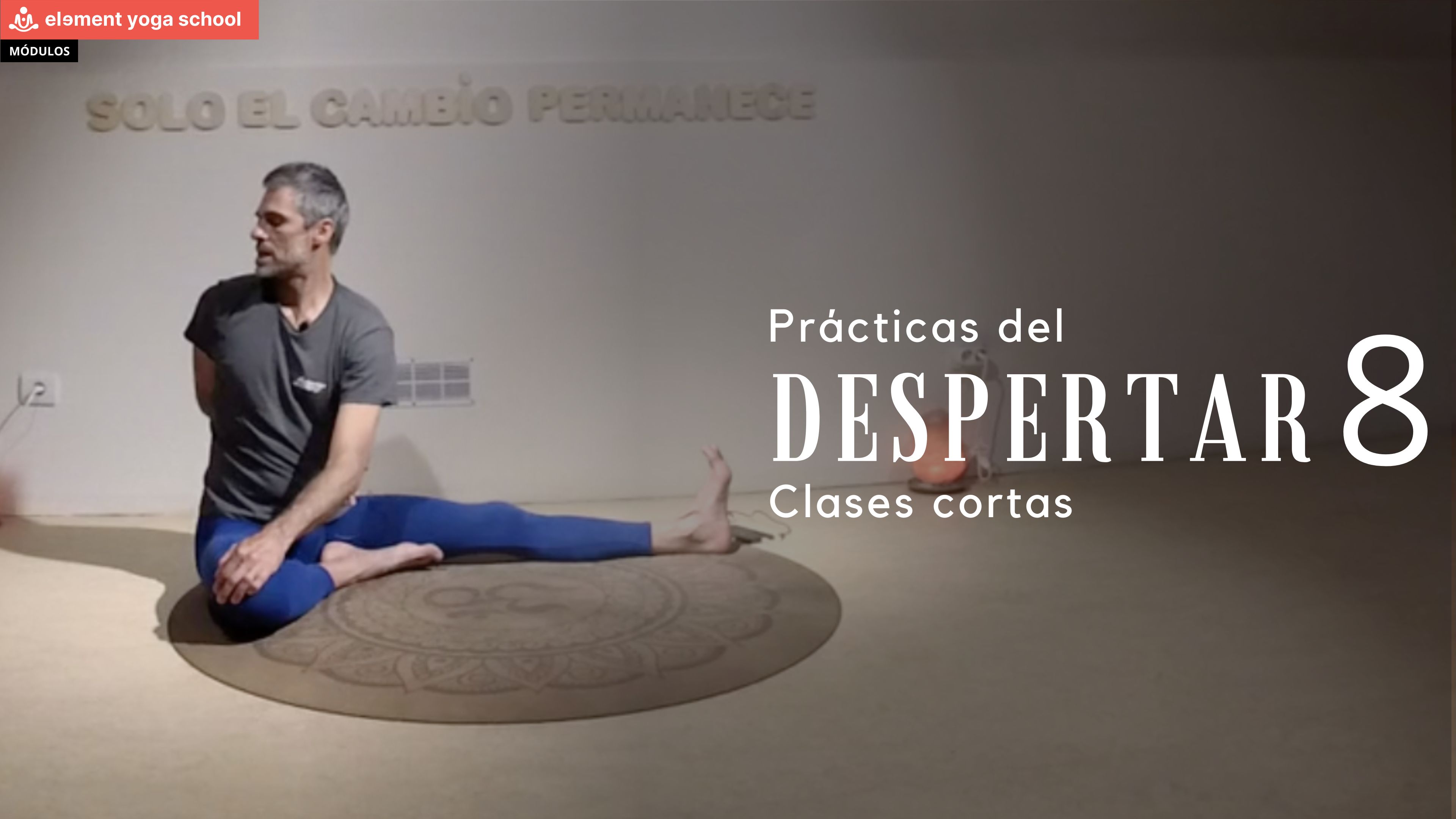 Práctica del despertar 8