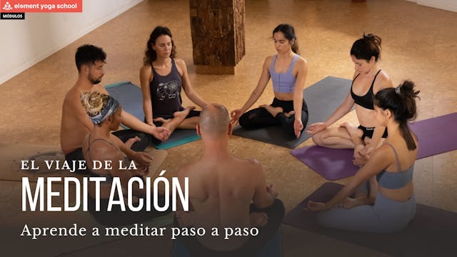 ¿Qué vas a encontrar en el viaje de l...