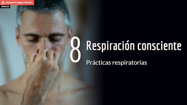 Lección 8 Respiración consciente