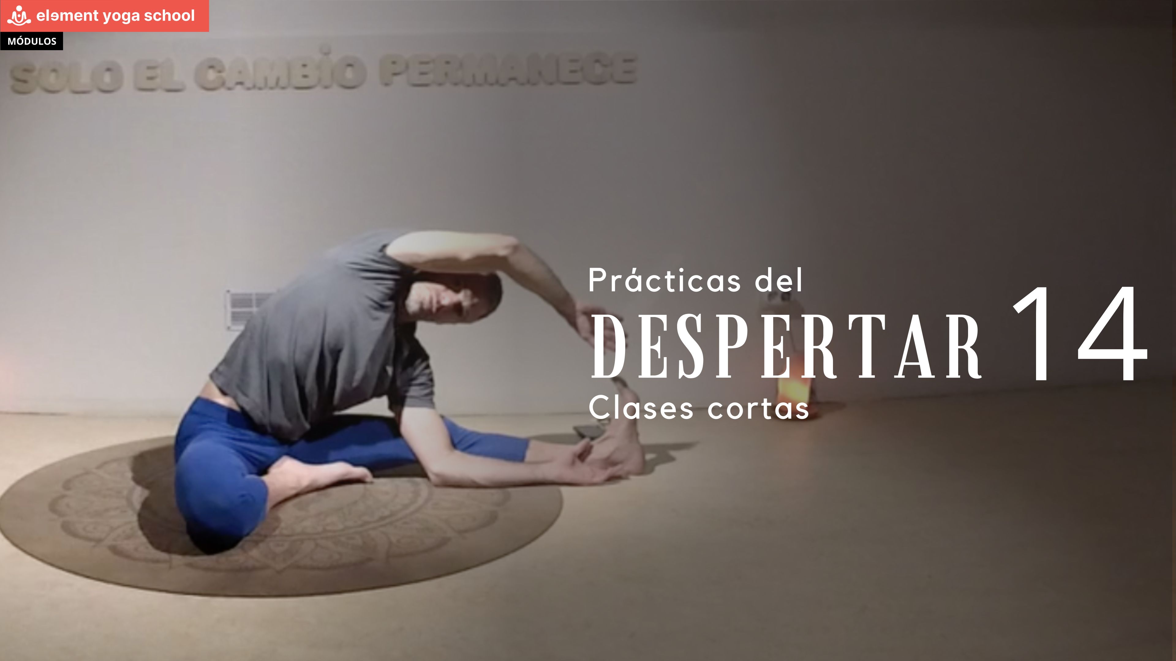 Práctica del despertar 14