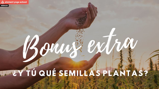 4. Bonus Extra - ¿Y tú qué semillas plantas?.pdf