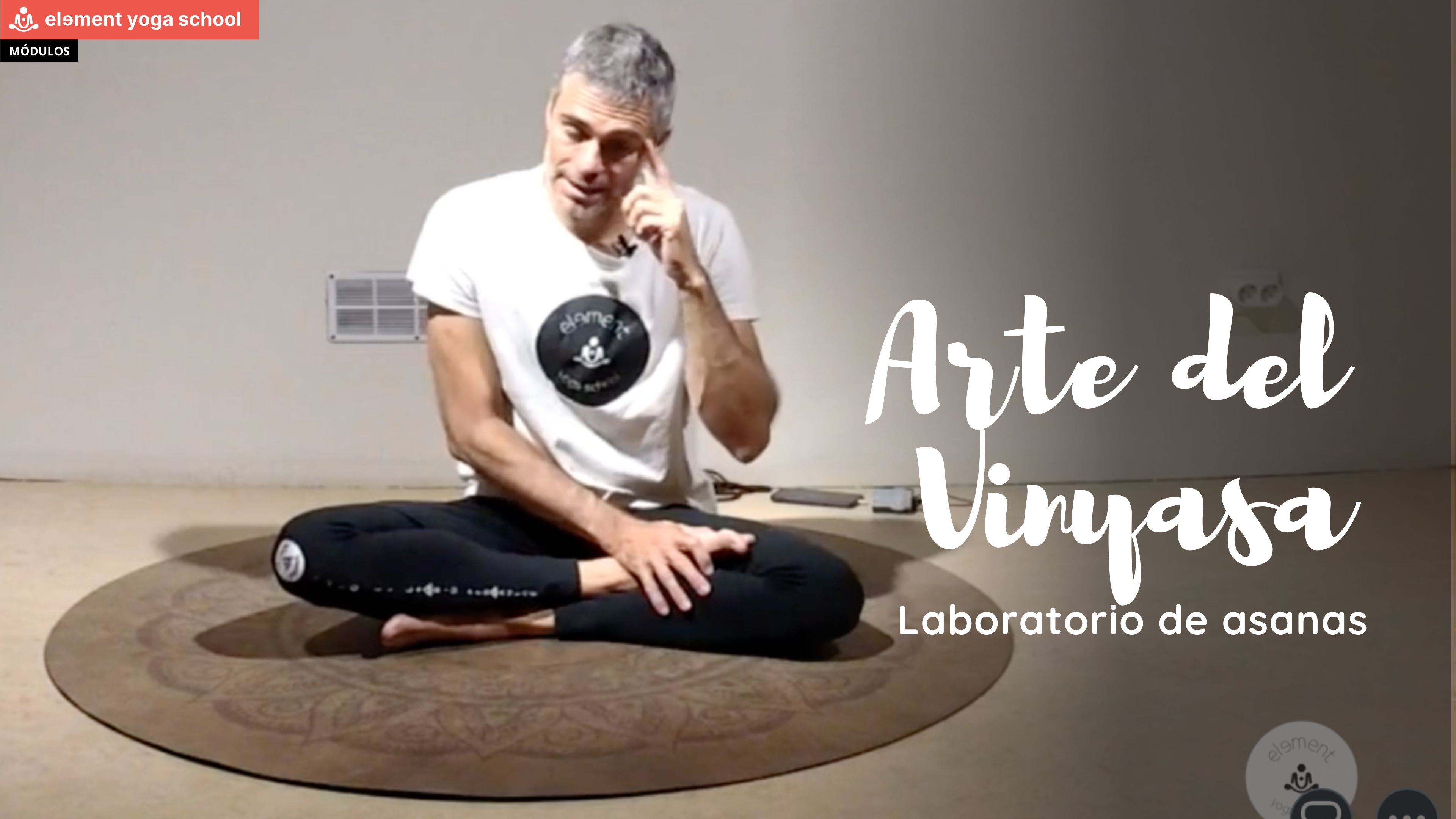El Arte del Vinyasa