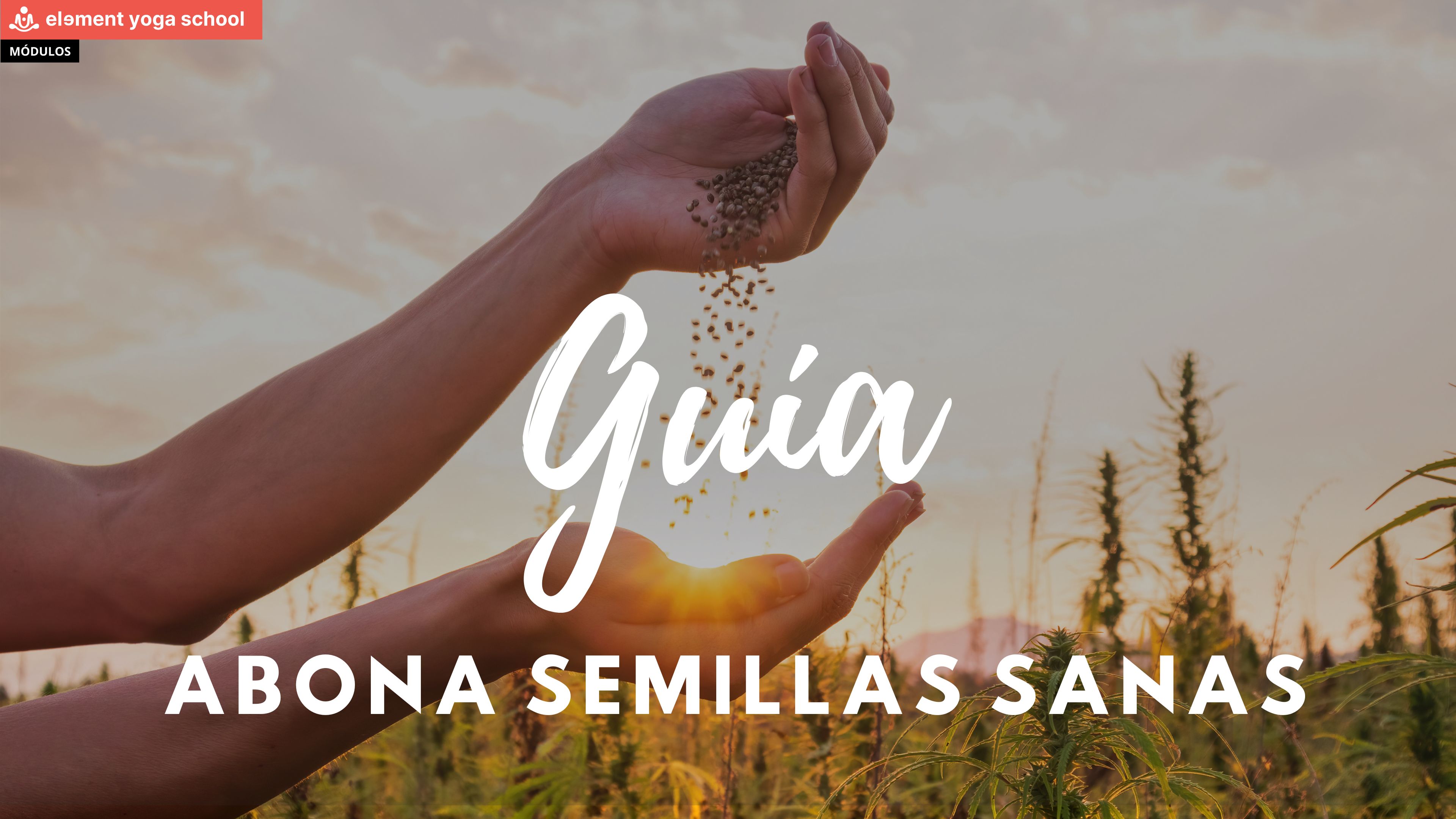 4. Guía de apoyo - Abona semillas sanas.pdf
