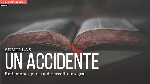 Un accidente. (Semillas)