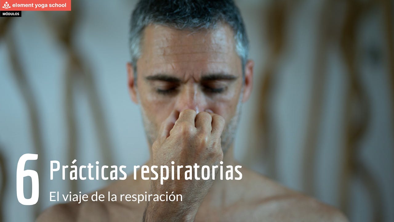 El viaje de la respiración 6