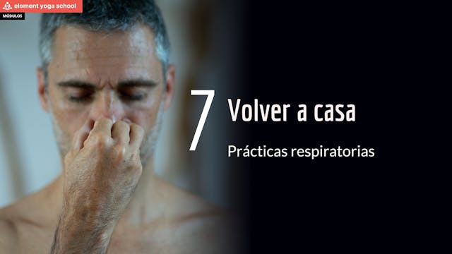 Lección 7 Volver a casa