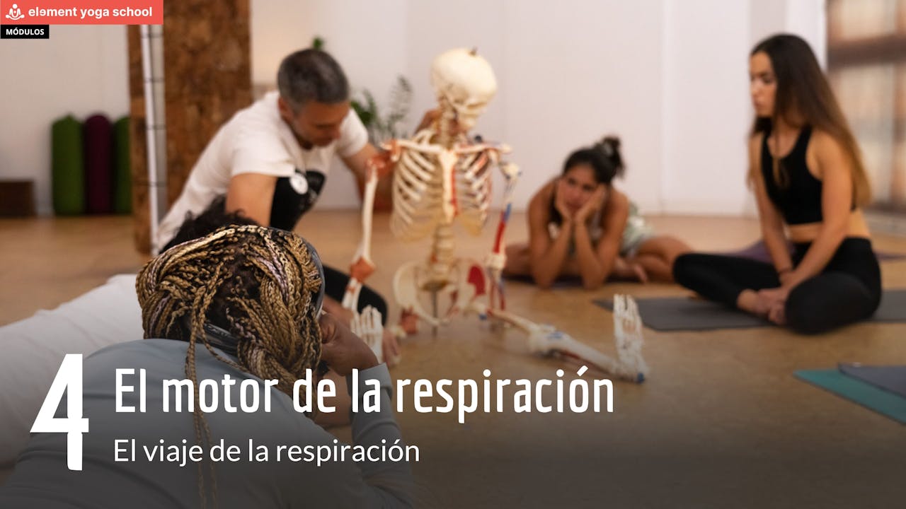 El viaje de la respiración 4