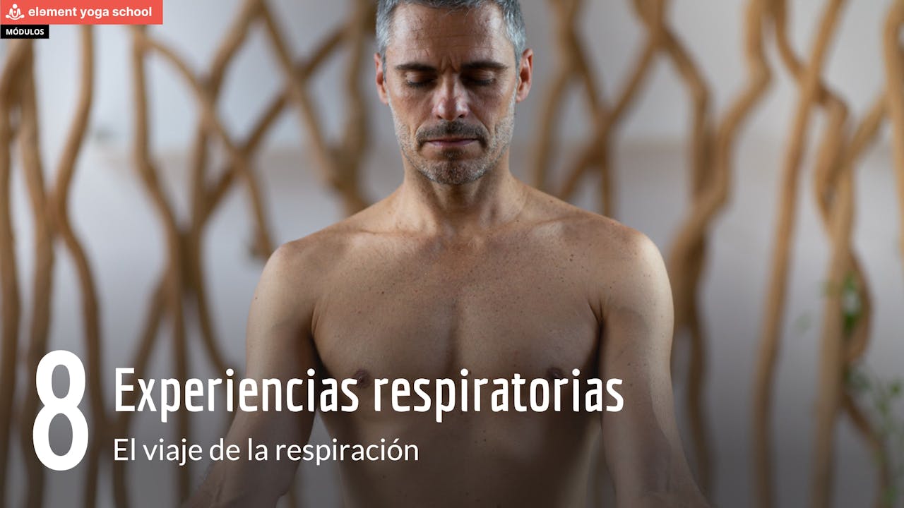 El viaje de la respiración 8