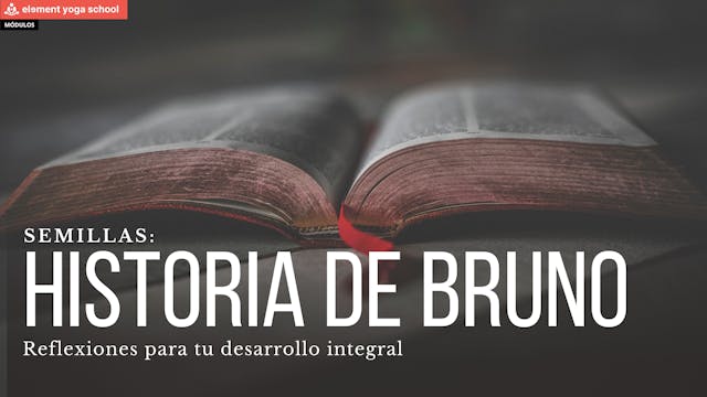 La historia de Bruno. (Semillas)