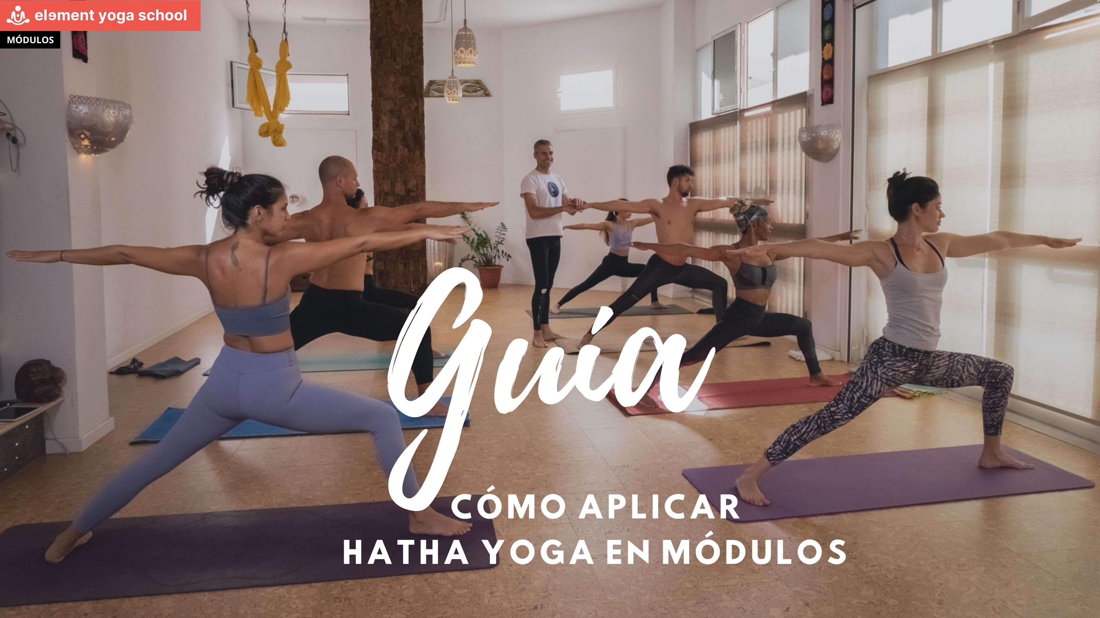 Guía Hatha Yoga en Módulos