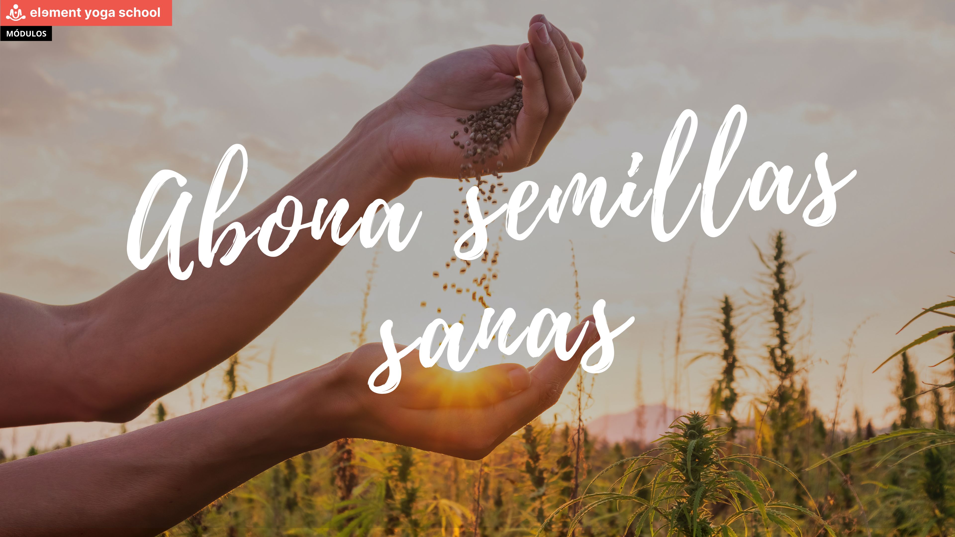 4. SESIÓN COMPLETA: Abona semillas sanas