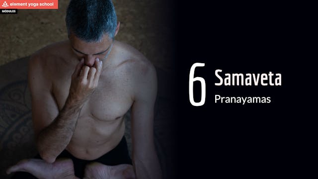 6. Samaveta