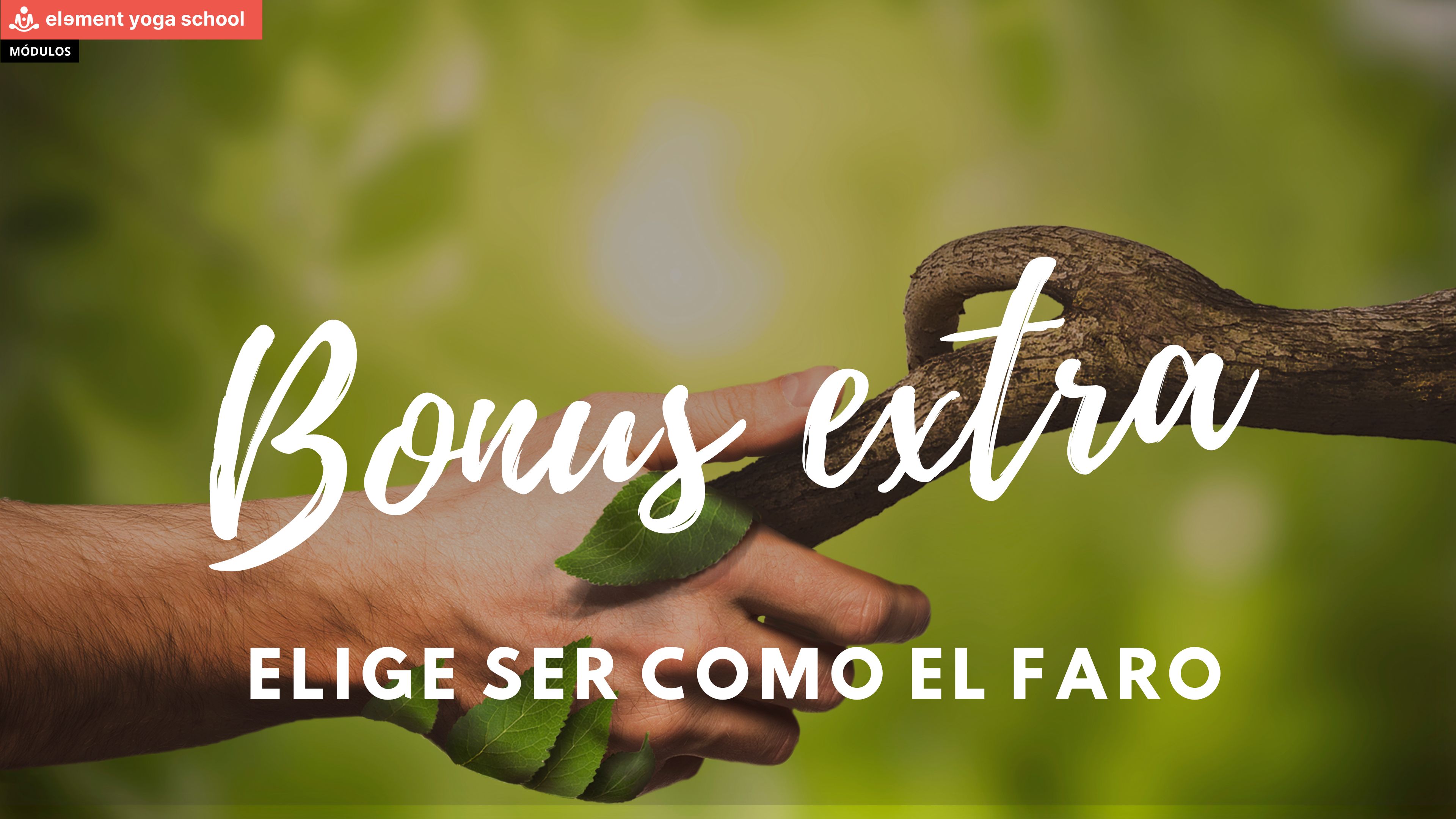 5. Bonus Extra - Elige ser como el faro.pdf