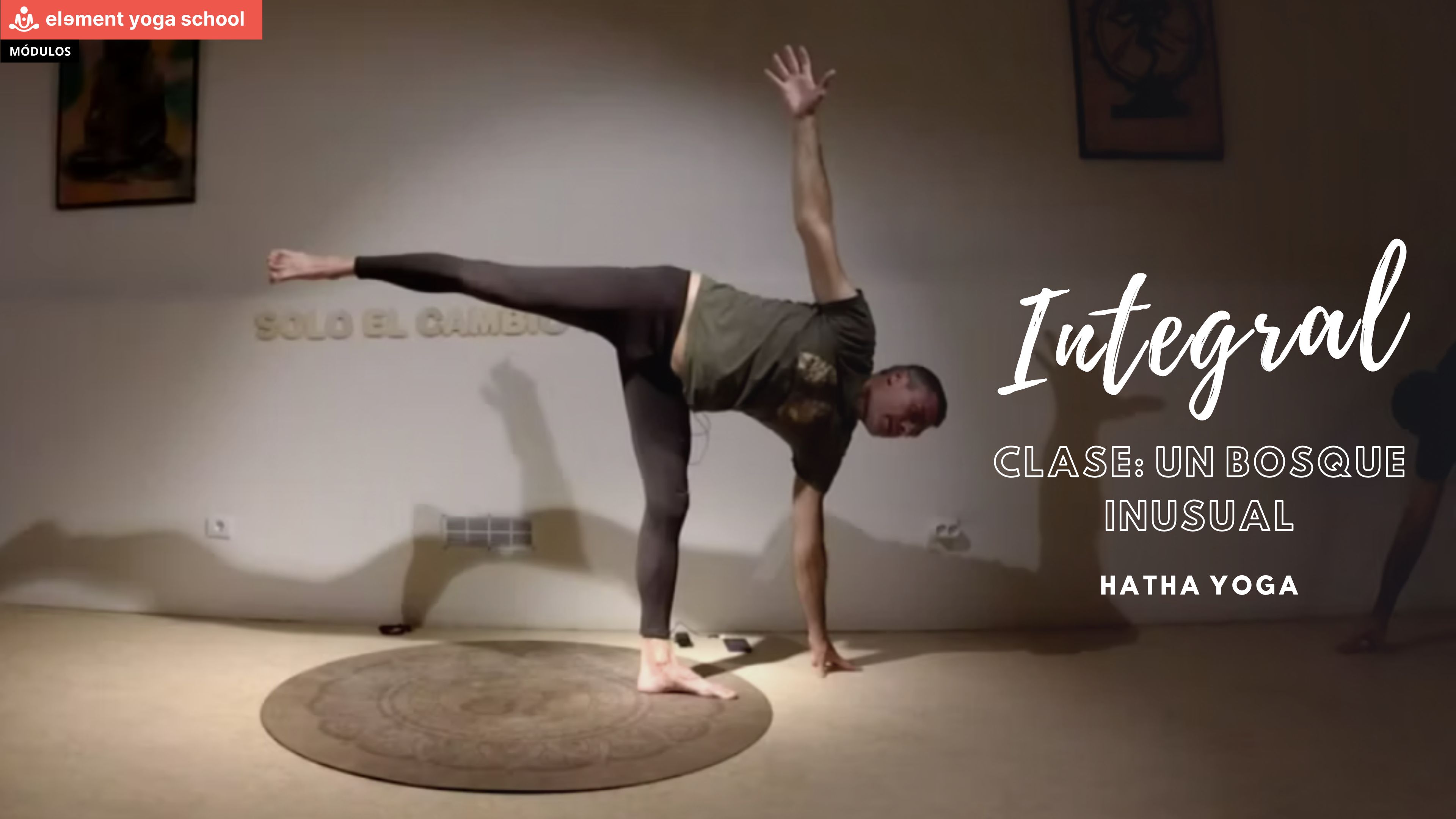 Un bosque inusual (Intermedio)