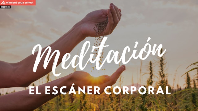 4. Meditación el escáner corporal - Abona semillas sanas