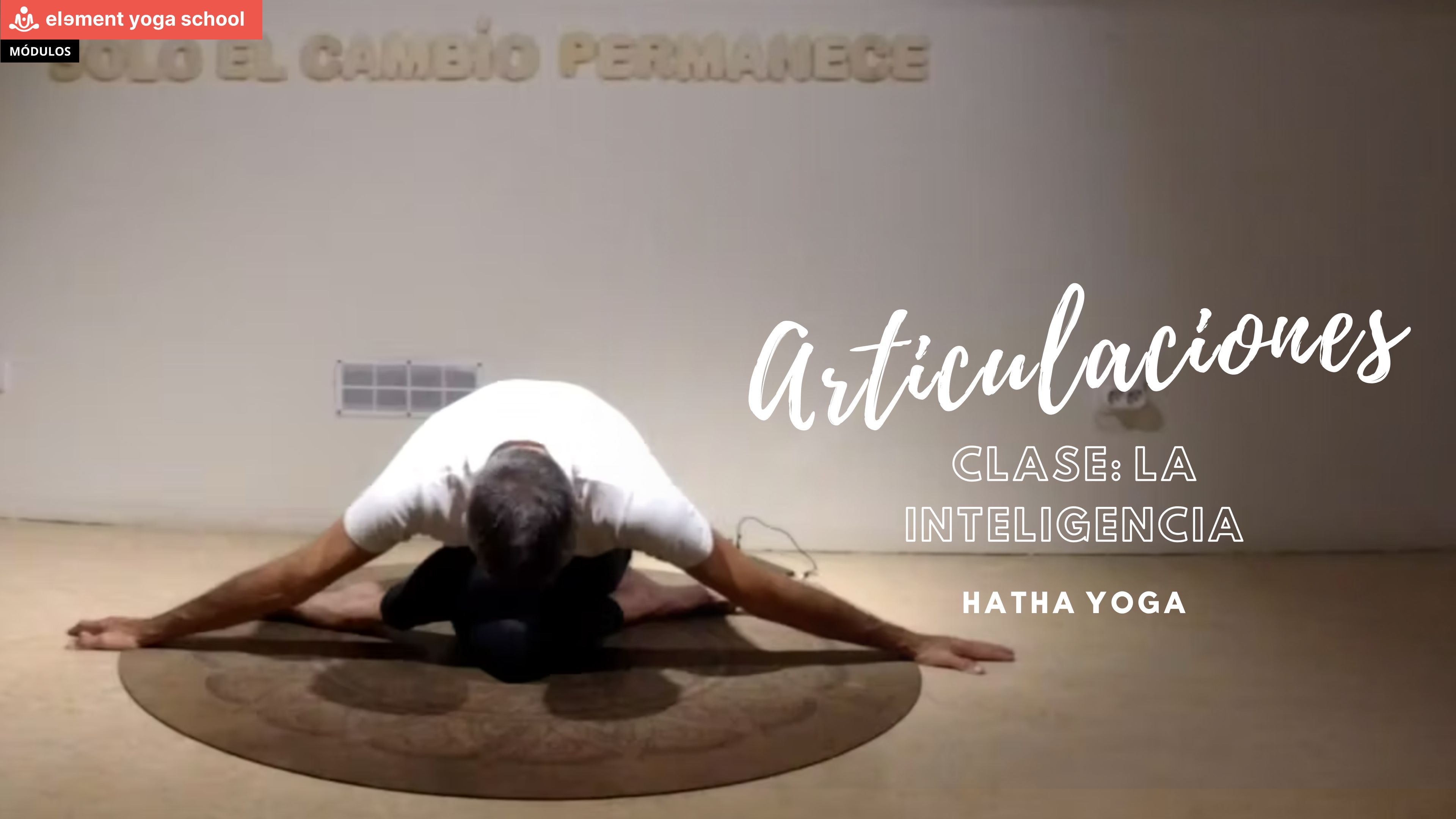 La inteligencia (Intermedio)