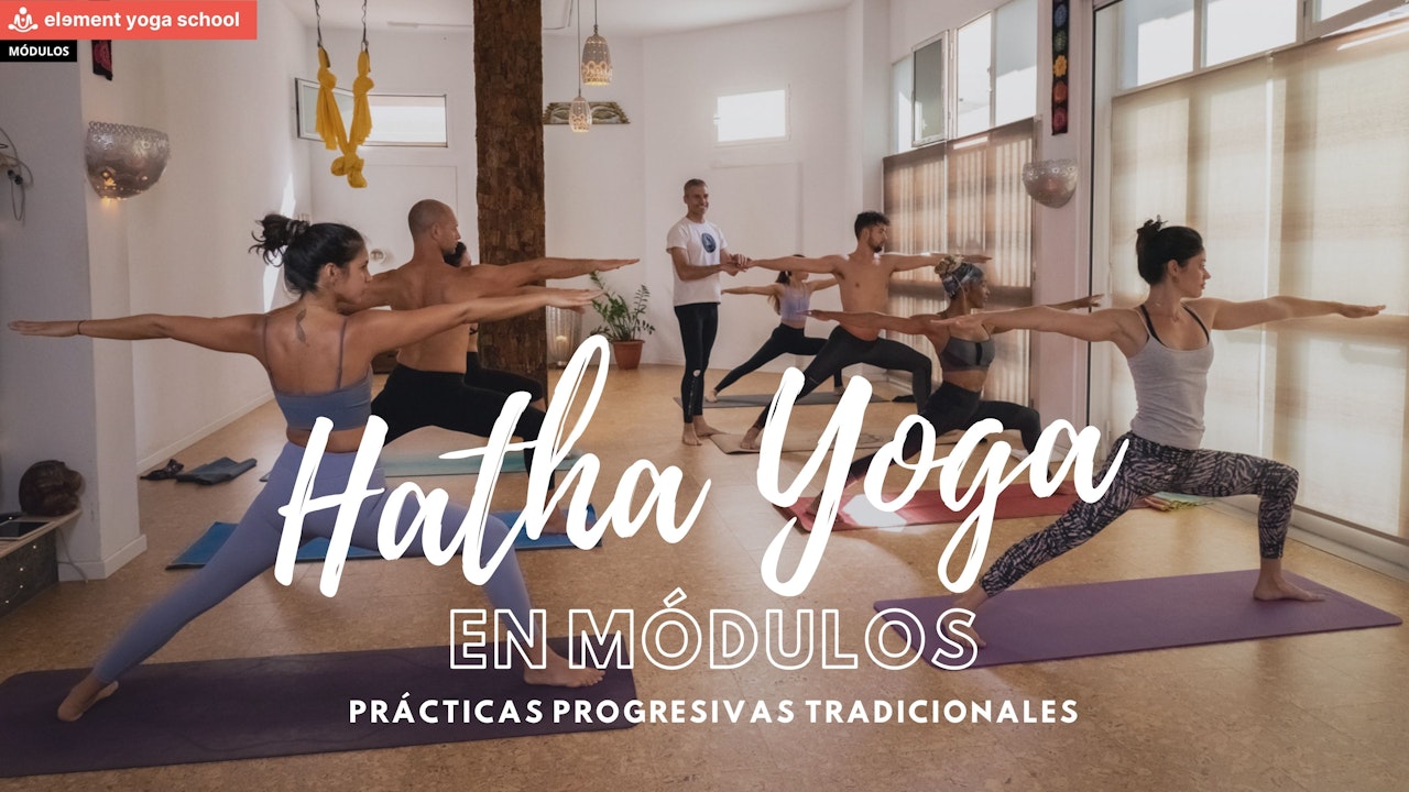 Hatha yoga en módulos