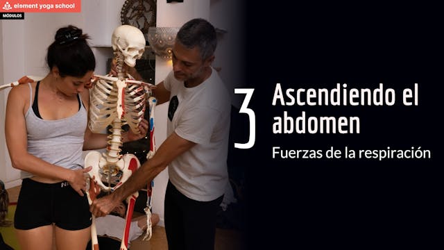 Ascendiendo el abdomen al exhalar. Respiración diafragmática