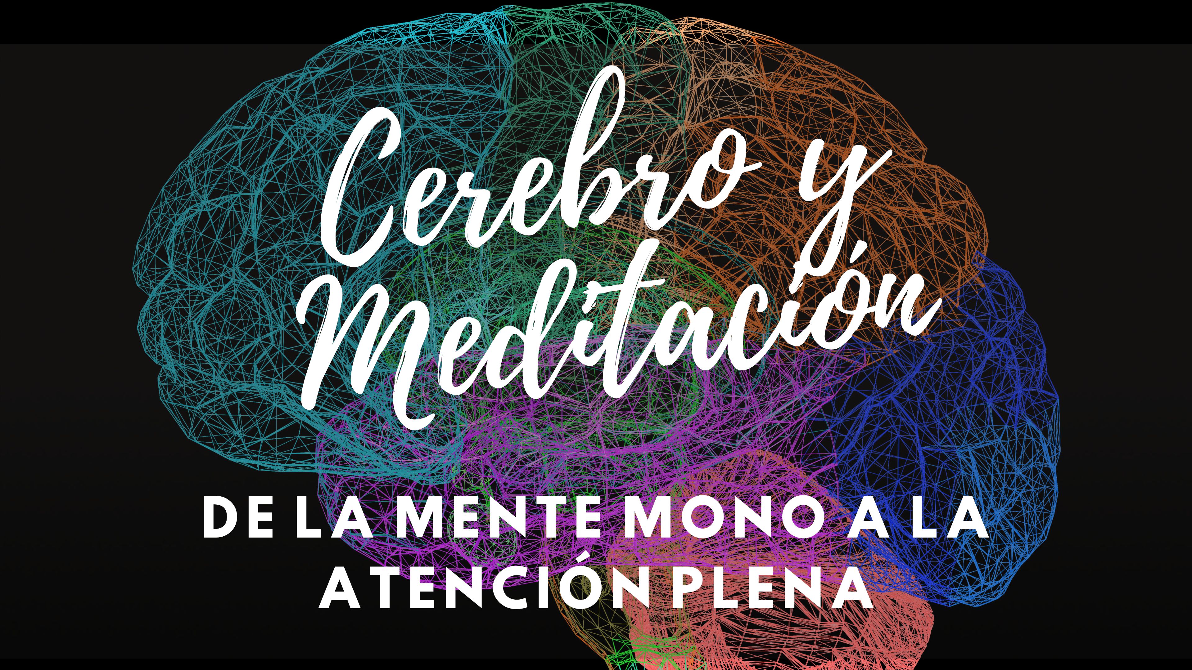 CEREBRO Y MEDITACIÓN - 2 De la mente mono a la atención plena.pdf