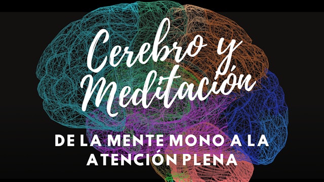 CEREBRO Y MEDITACIÓN - 2 De la mente mono a la atención plena.pdf