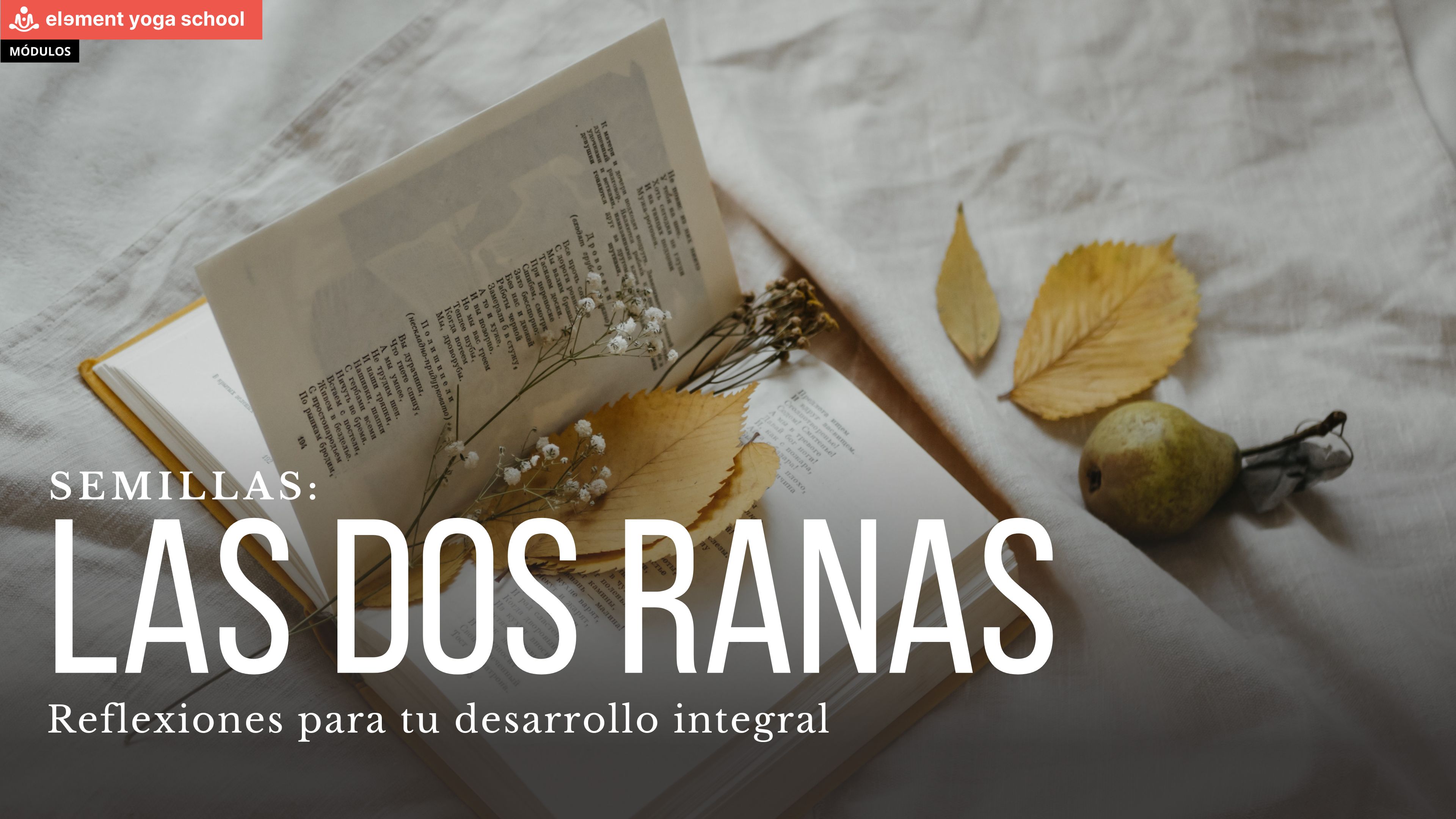 Las dos ranas. (Semillas)