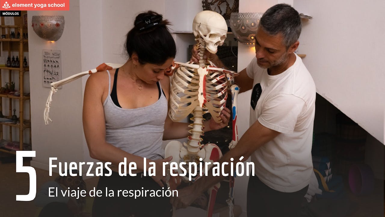 El viaje de la respiración 5