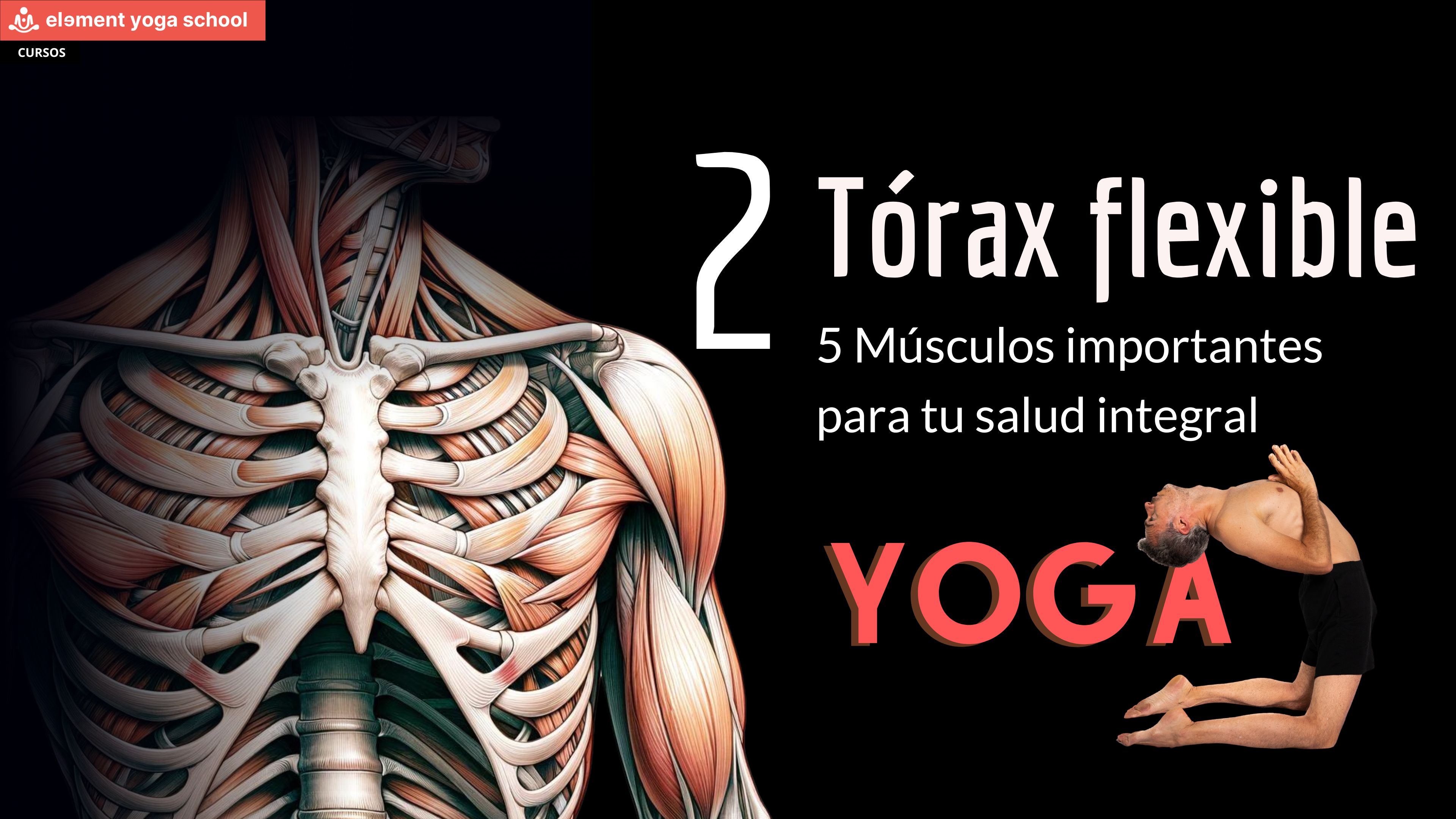 Yoga para expandir y flexibilizar tu tórax