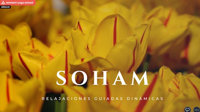 06. Relajación. Soham