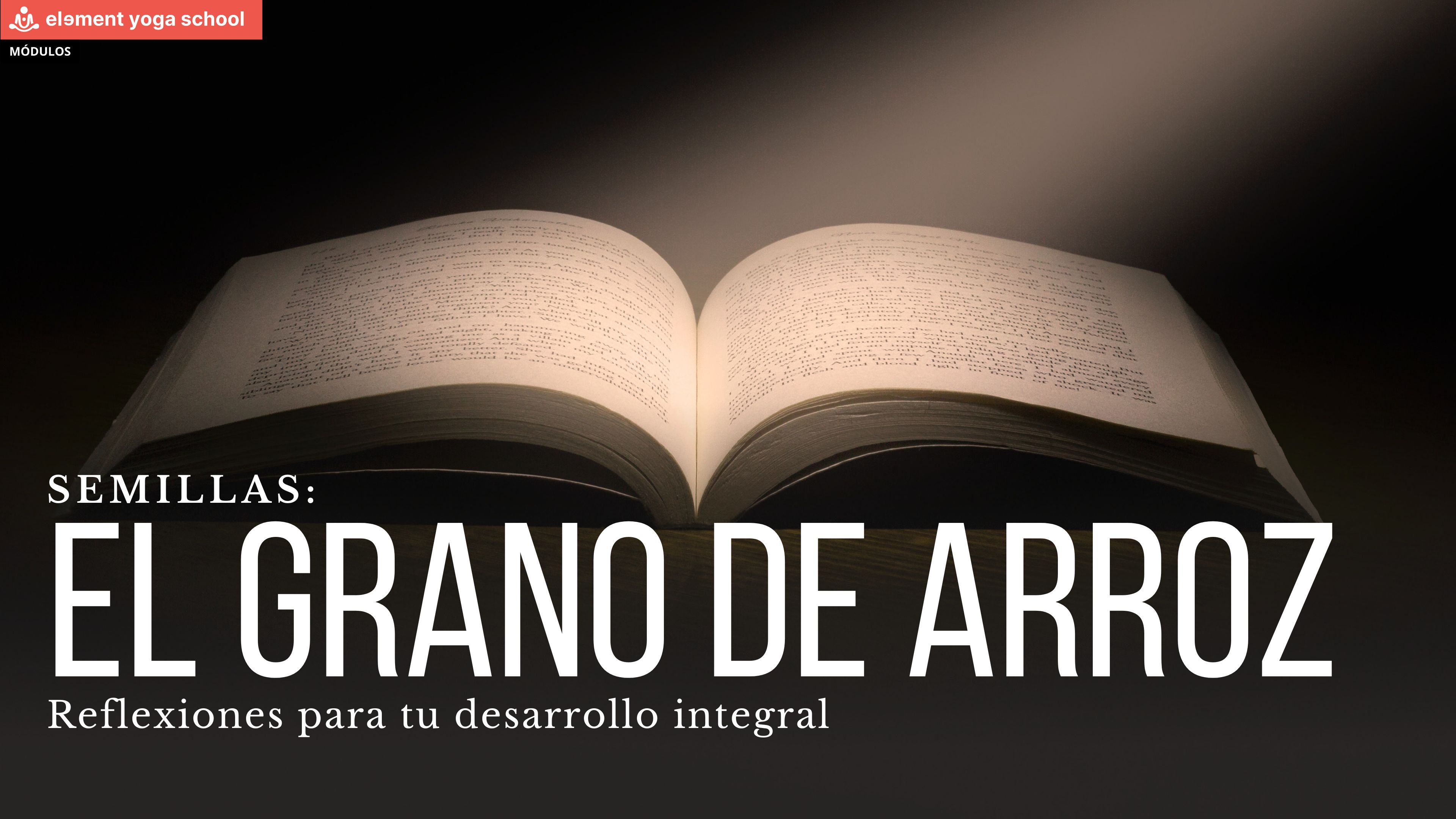 El grano de arroz. (Semillas)