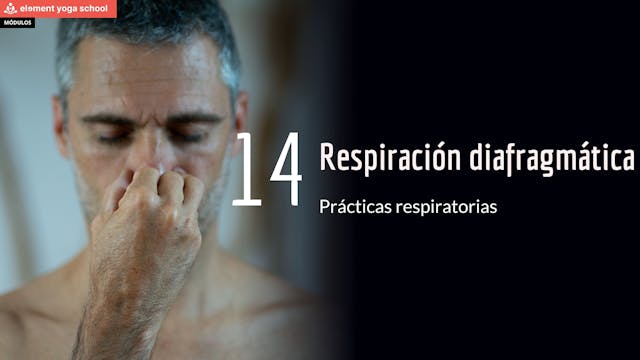 Lección  14 Respiraciones diafragmáticas