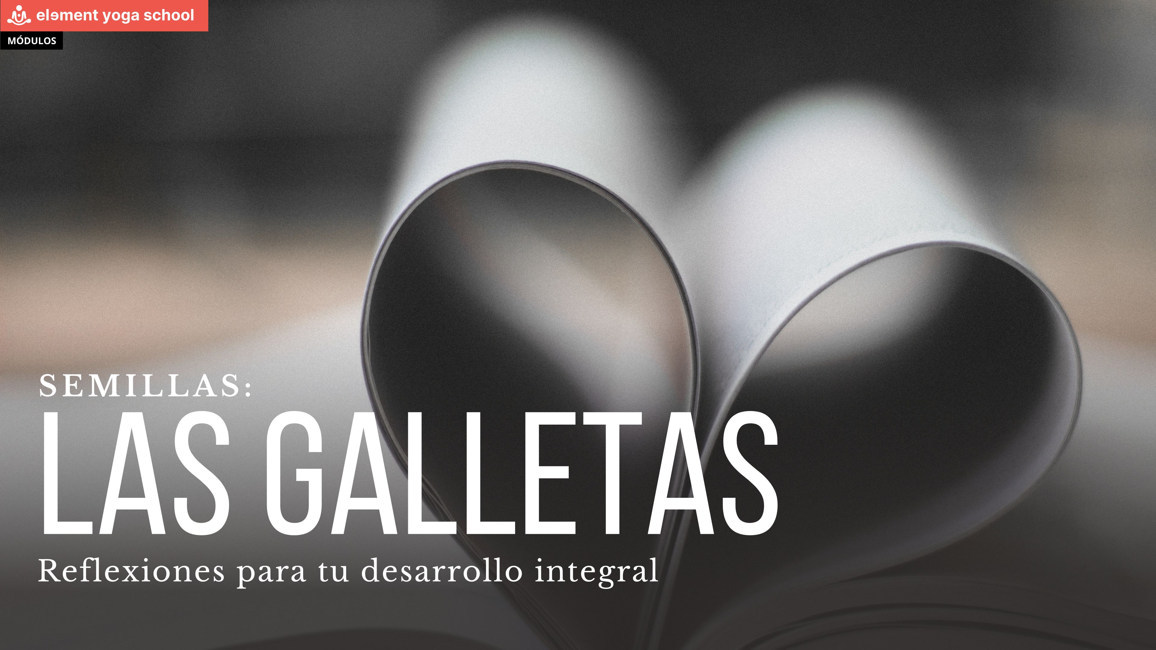 Las galletas. (Semillas)