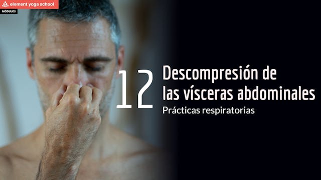 Lección 12 Descompresión de las vísce...