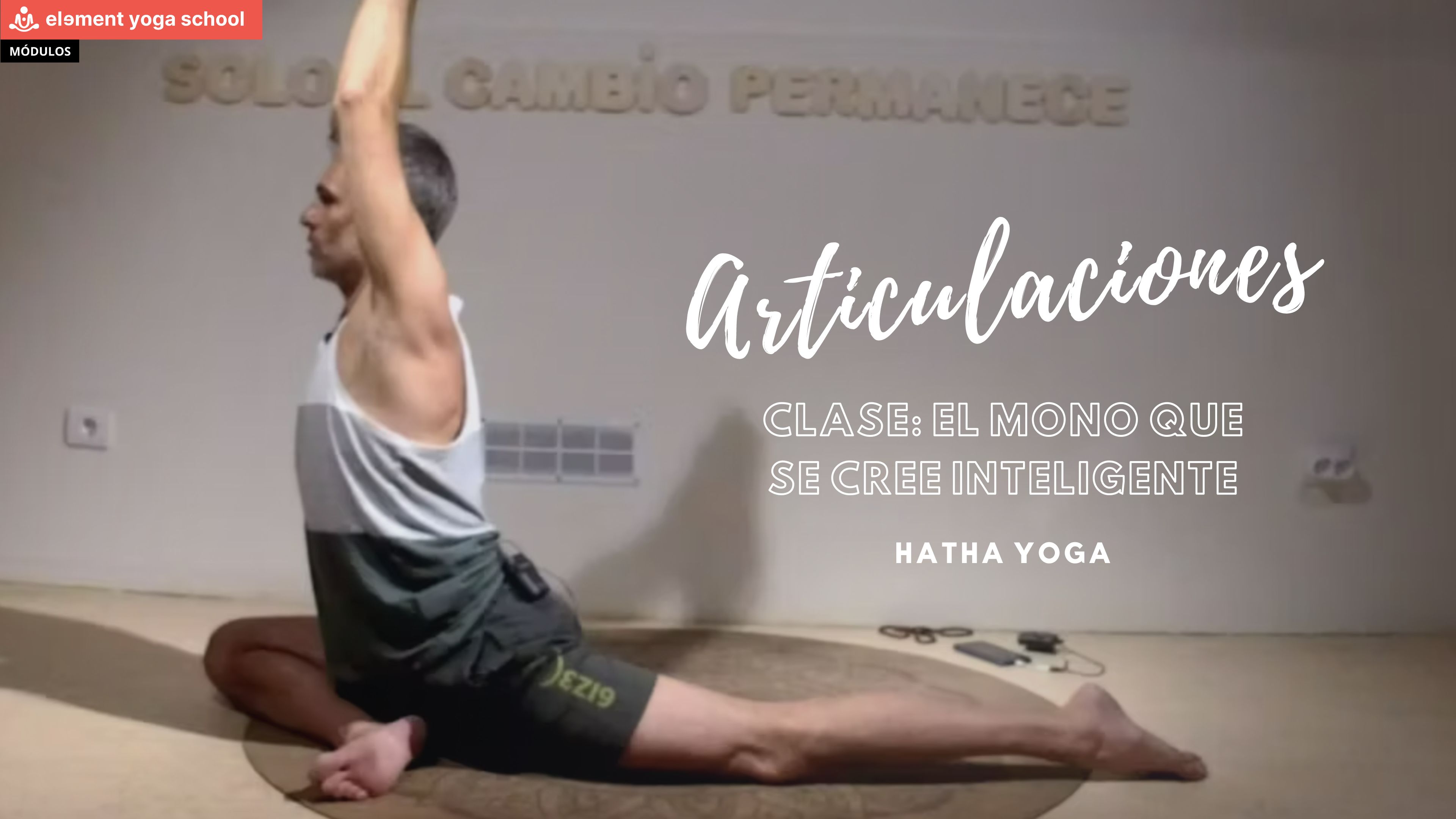 El mono que se cree inteligente (Intermedio)