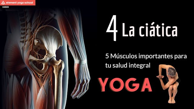 Piramidal: Liberando y aliviando la c...