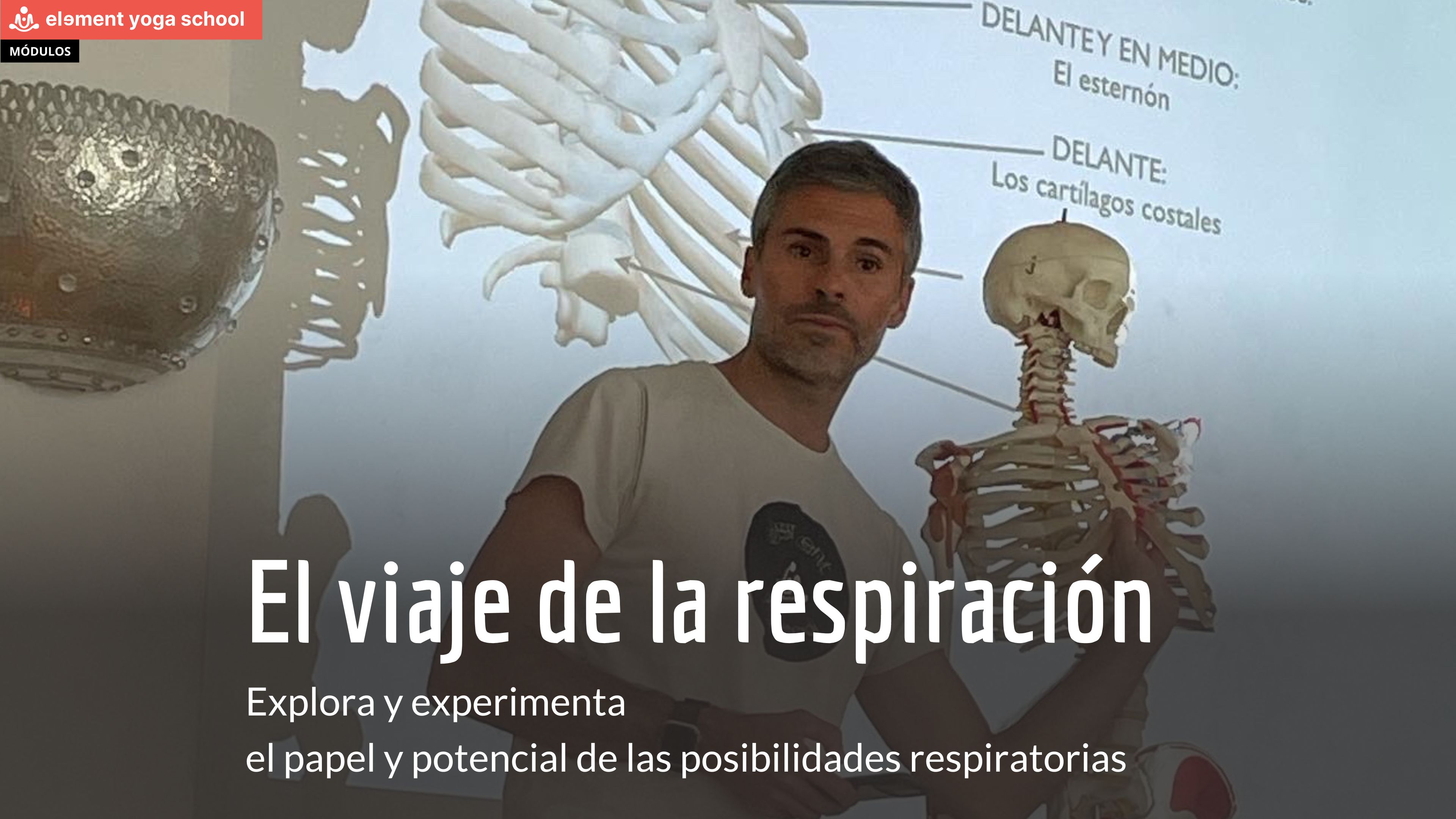 Curso: Maestros de la respiración
