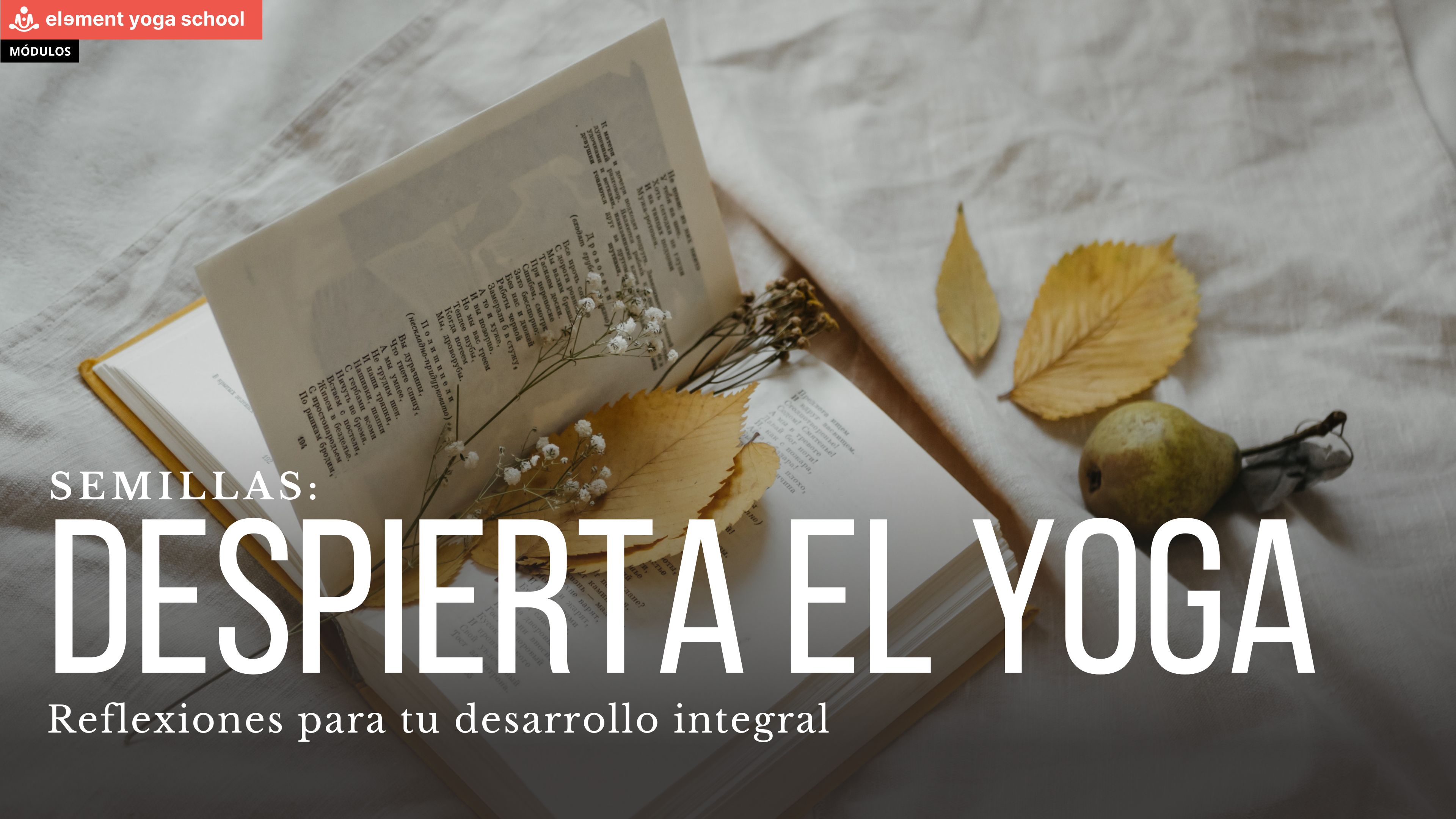 Despertando el yoga. (Semillas)