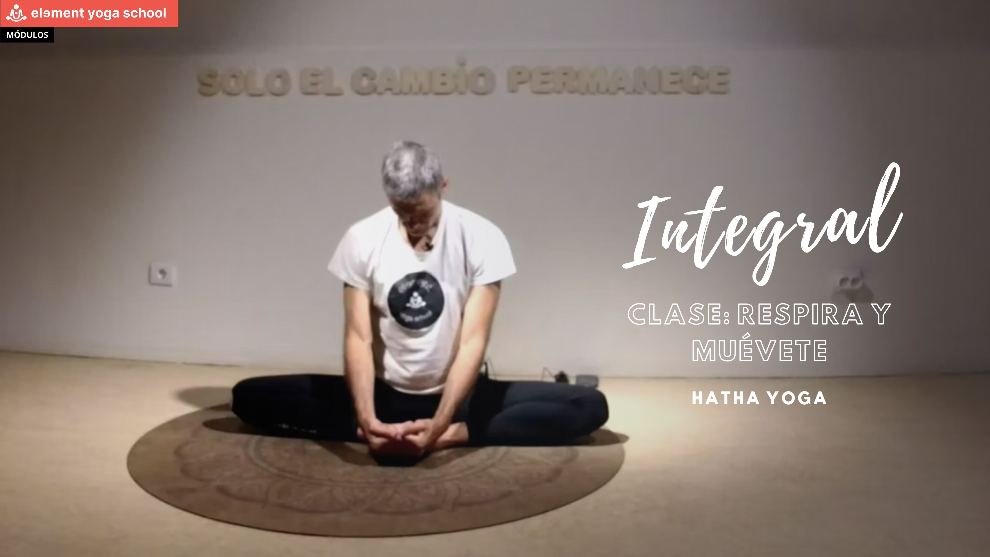 Respira y muévete (Principiante)