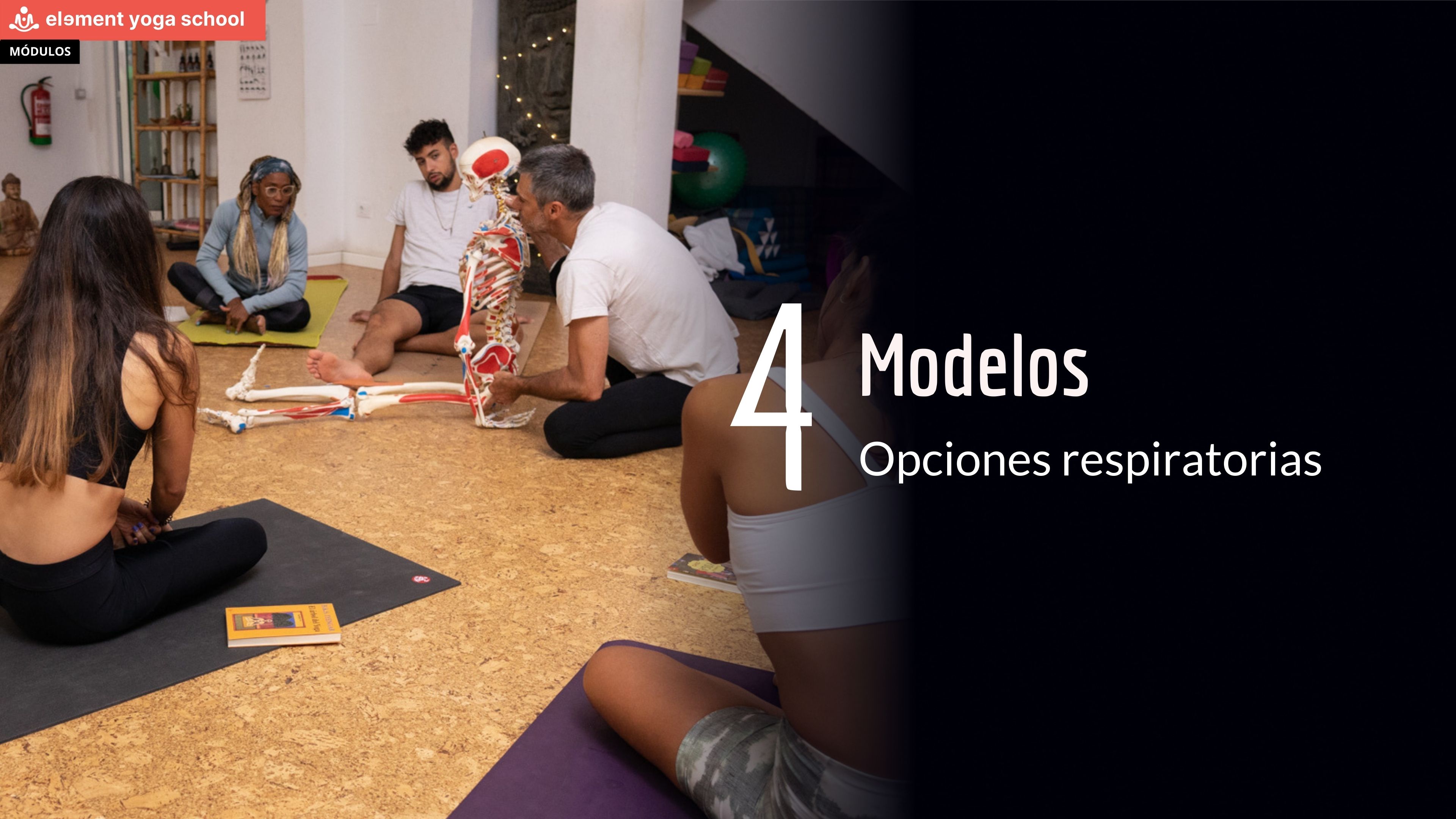 4. Modelos