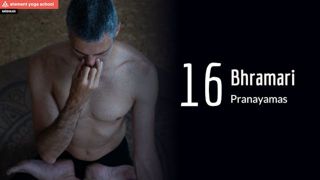 16. Bhramari
