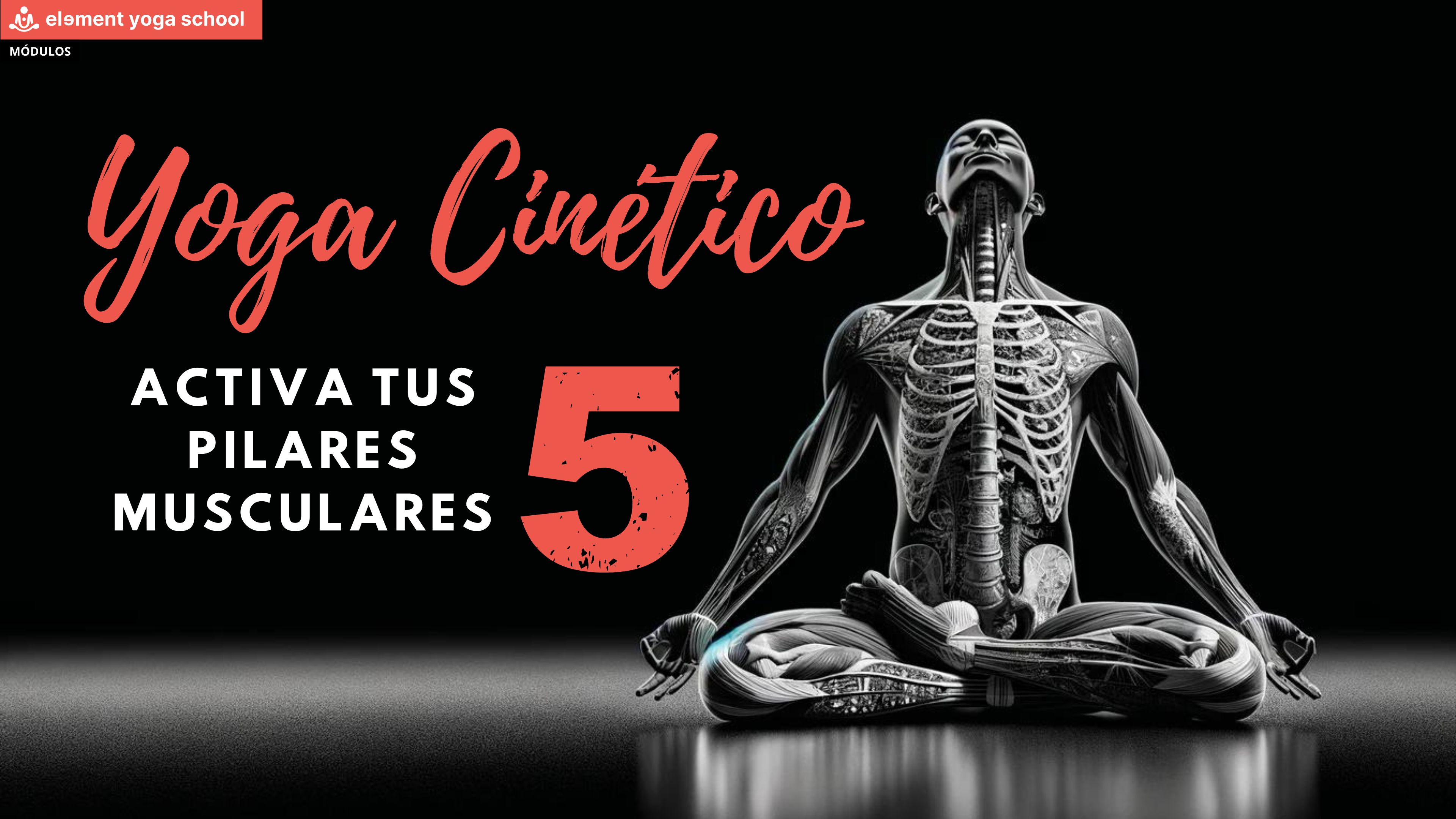 Yoga Cinético - Activa tus 5 pilares musculares