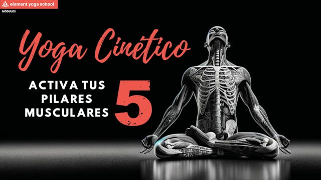 Yoga Cinético - Activa tus 5 pilares musculares