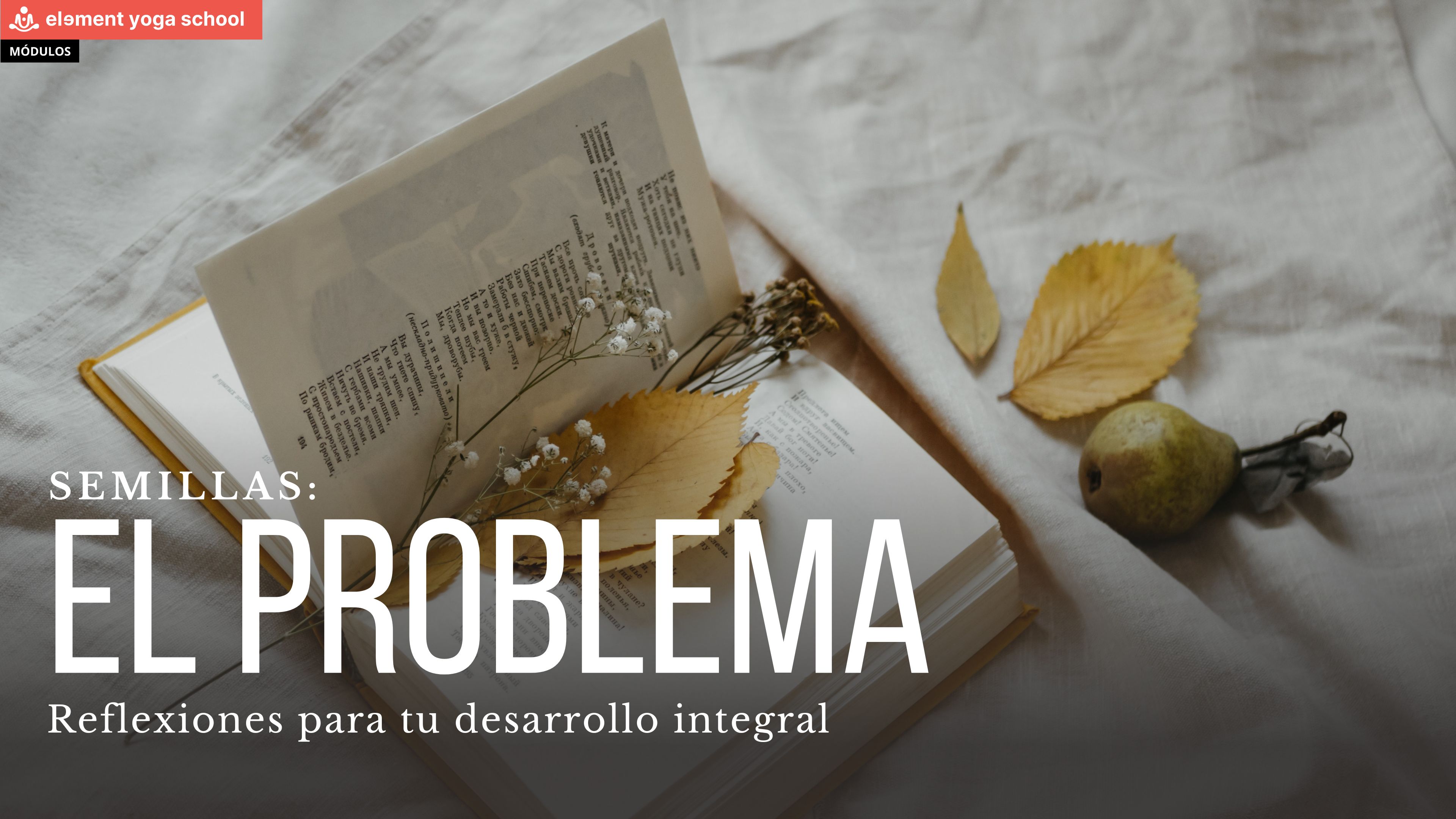 El problema. (Semillas)