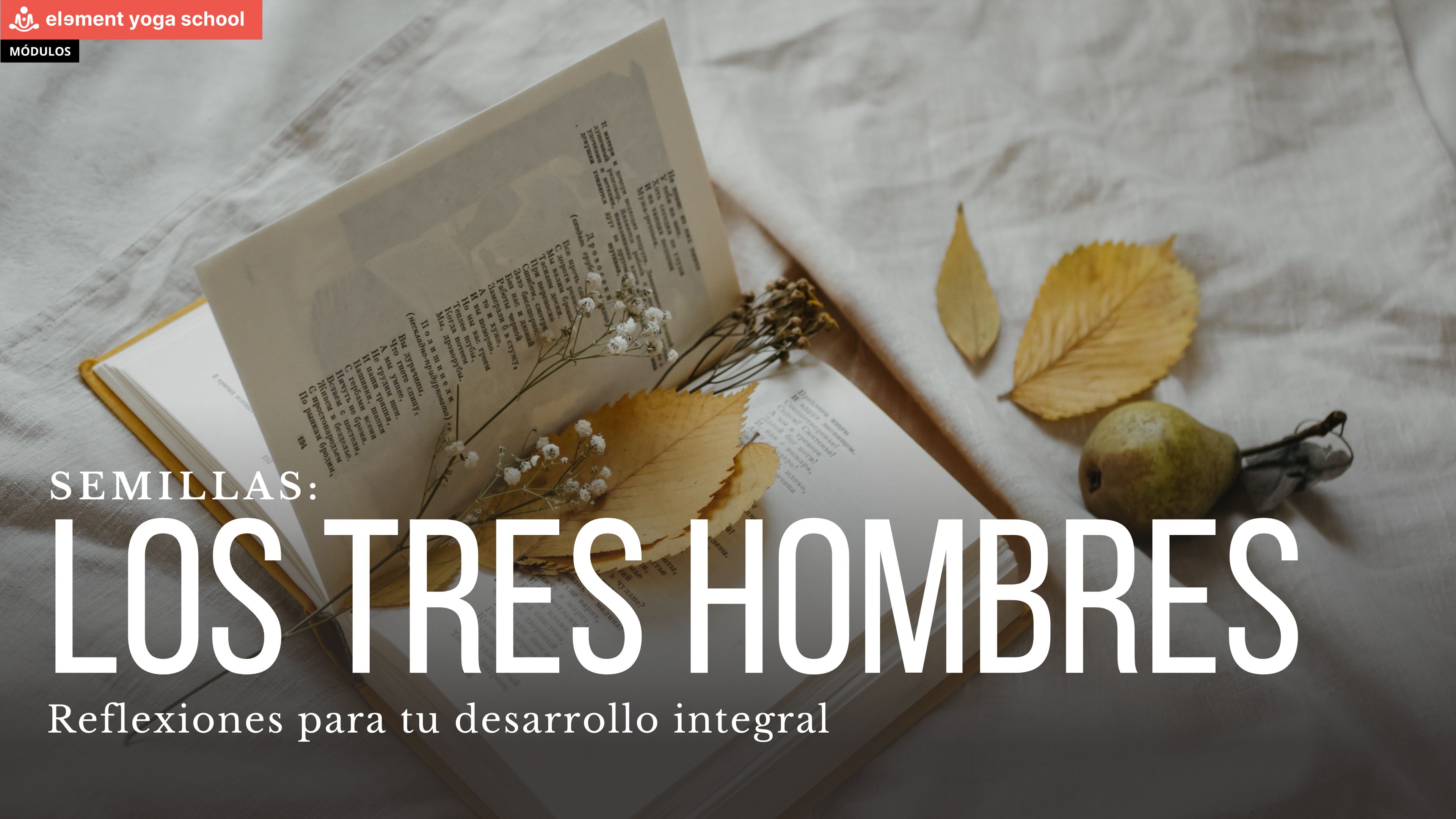 Los tres hombres misteriosos. (Semillas)