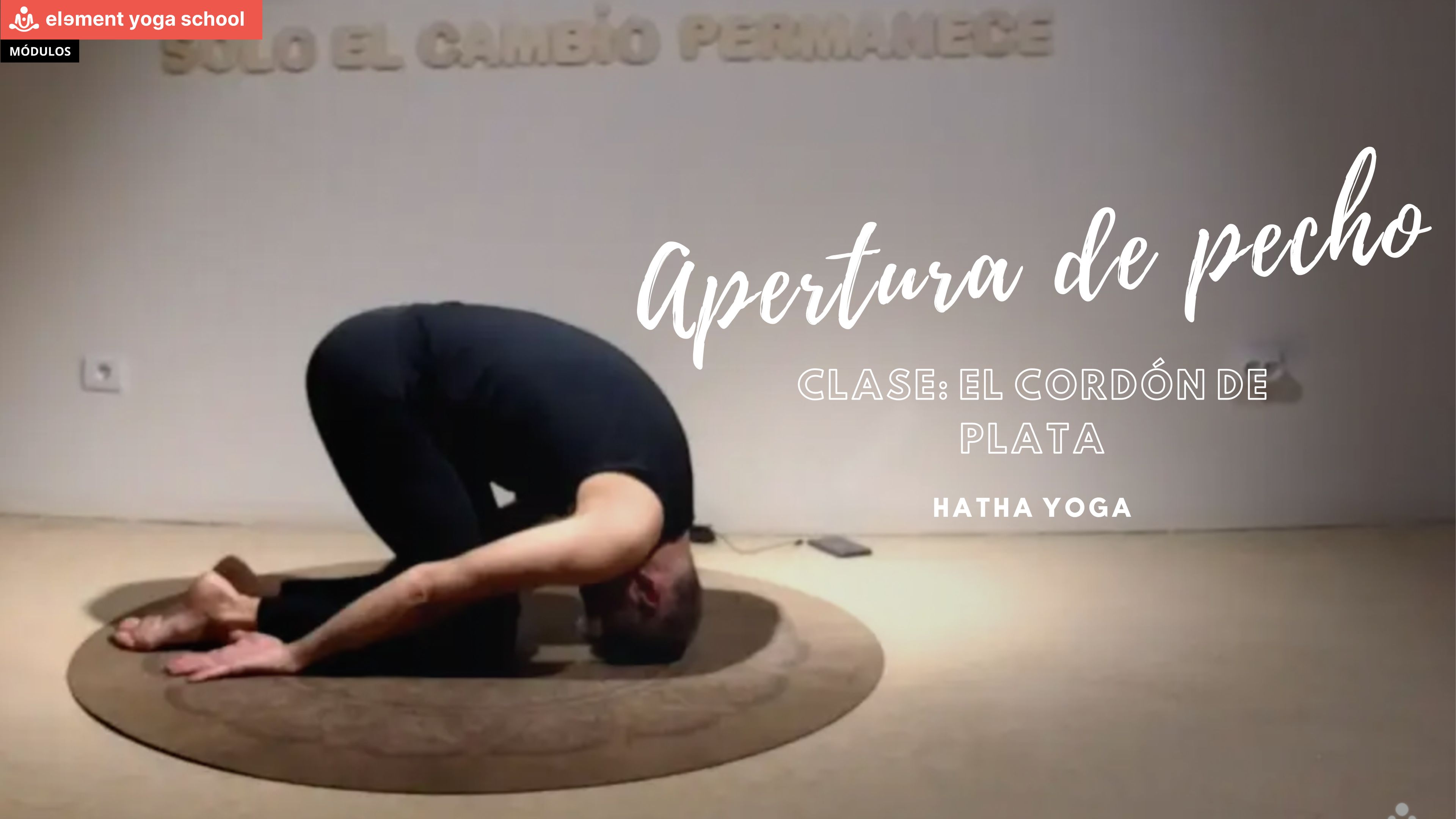 Vida a los años o años a la vida (Principiante)