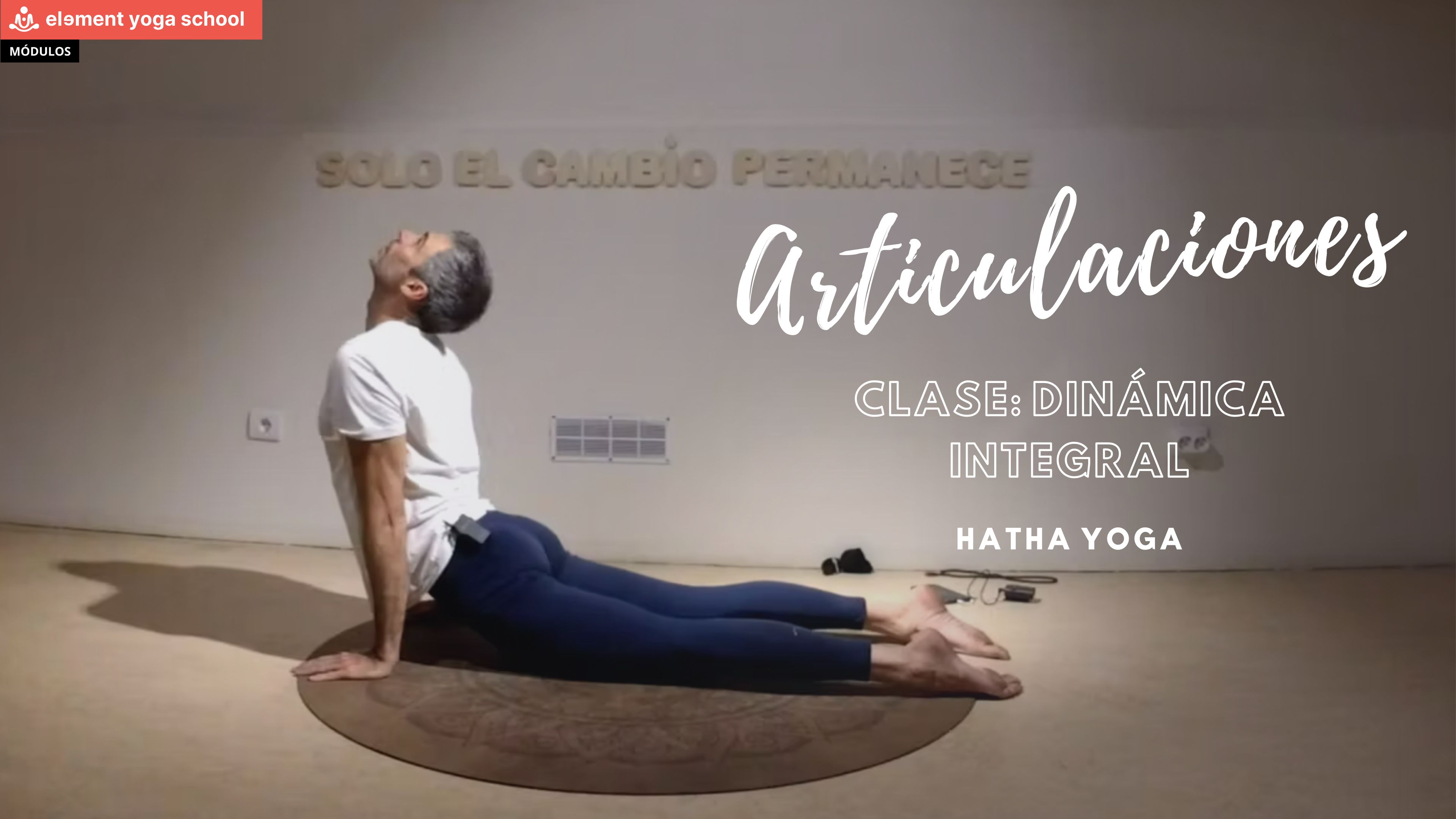 Dinámica integral (Intermedio)