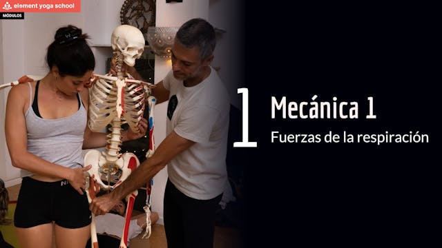 Mecánica 1al inspirar. Respiración diafragmática