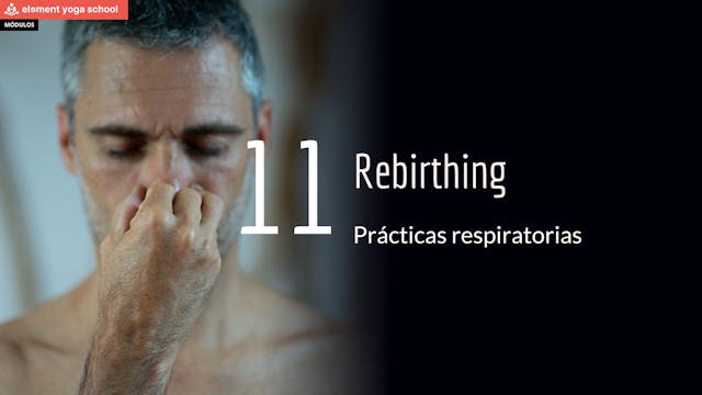 Lección 11 Rebirthing