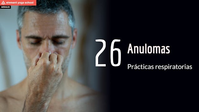 Lección 26 Anulomas