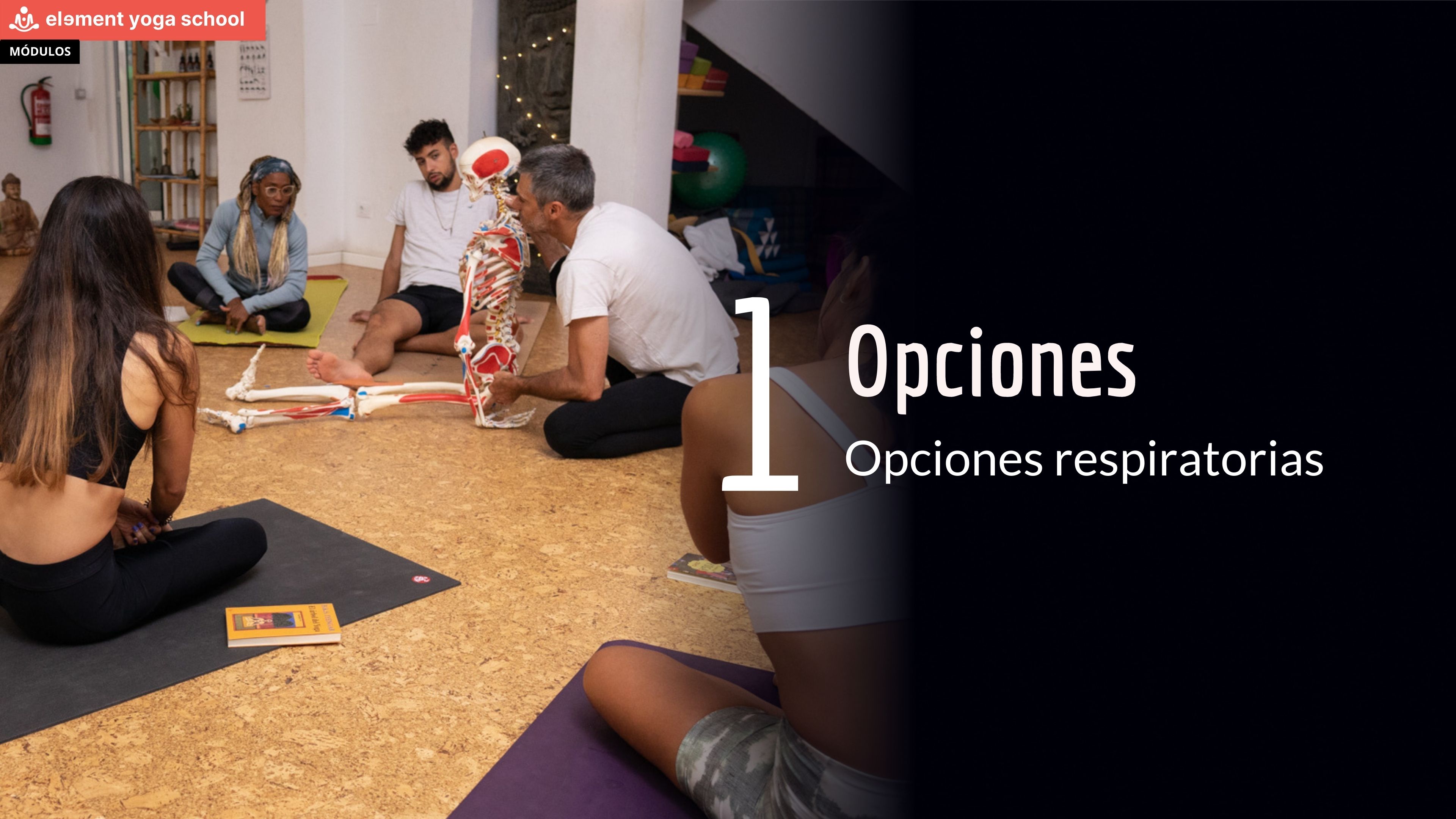 1. Opciones respiratorias