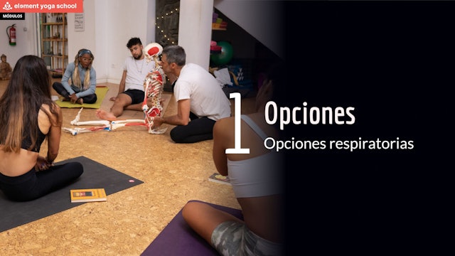 1. Opciones respiratorias